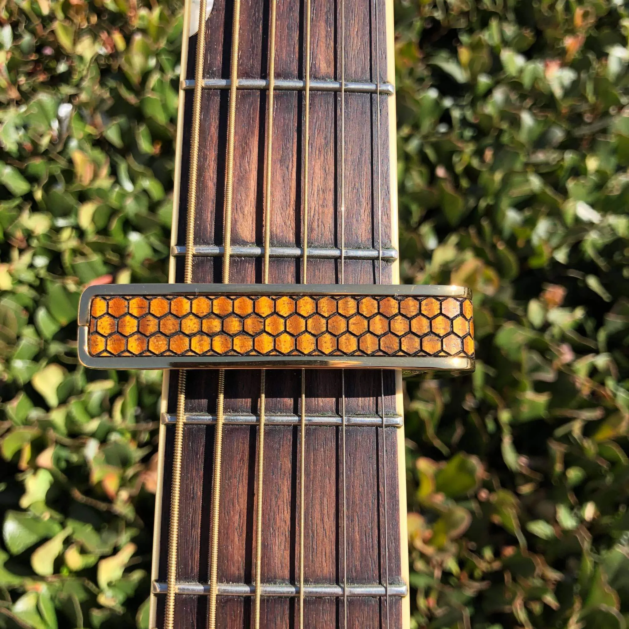 AAA Curly Hawaiian Koa Save The Bees Honeycomb | Premium Capo