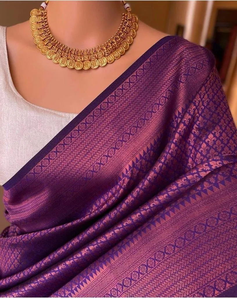 Captivating Purple Soft Silk Saree With Demure Blouse Piece