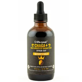 Chaga Mushroom Liquid Extract