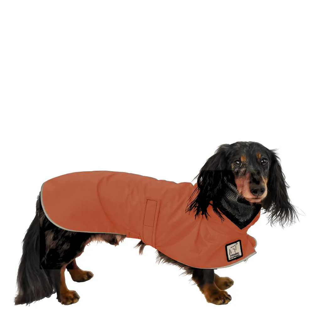 Dachshund Raincoat