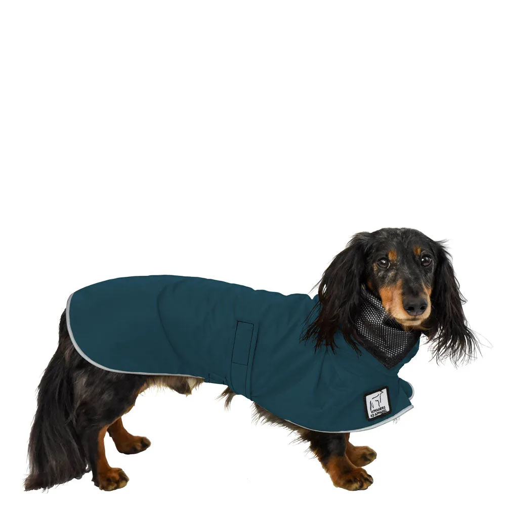 Dachshund Raincoat