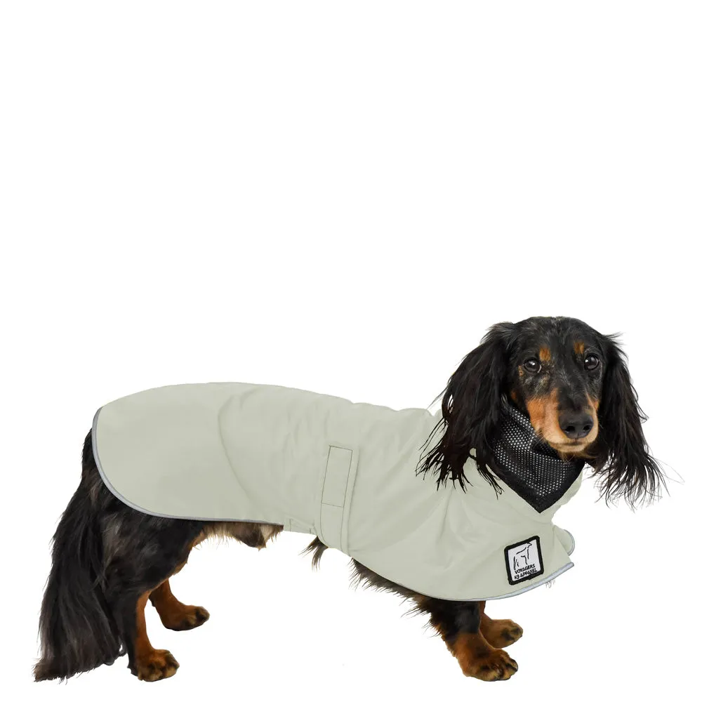 Dachshund Raincoat