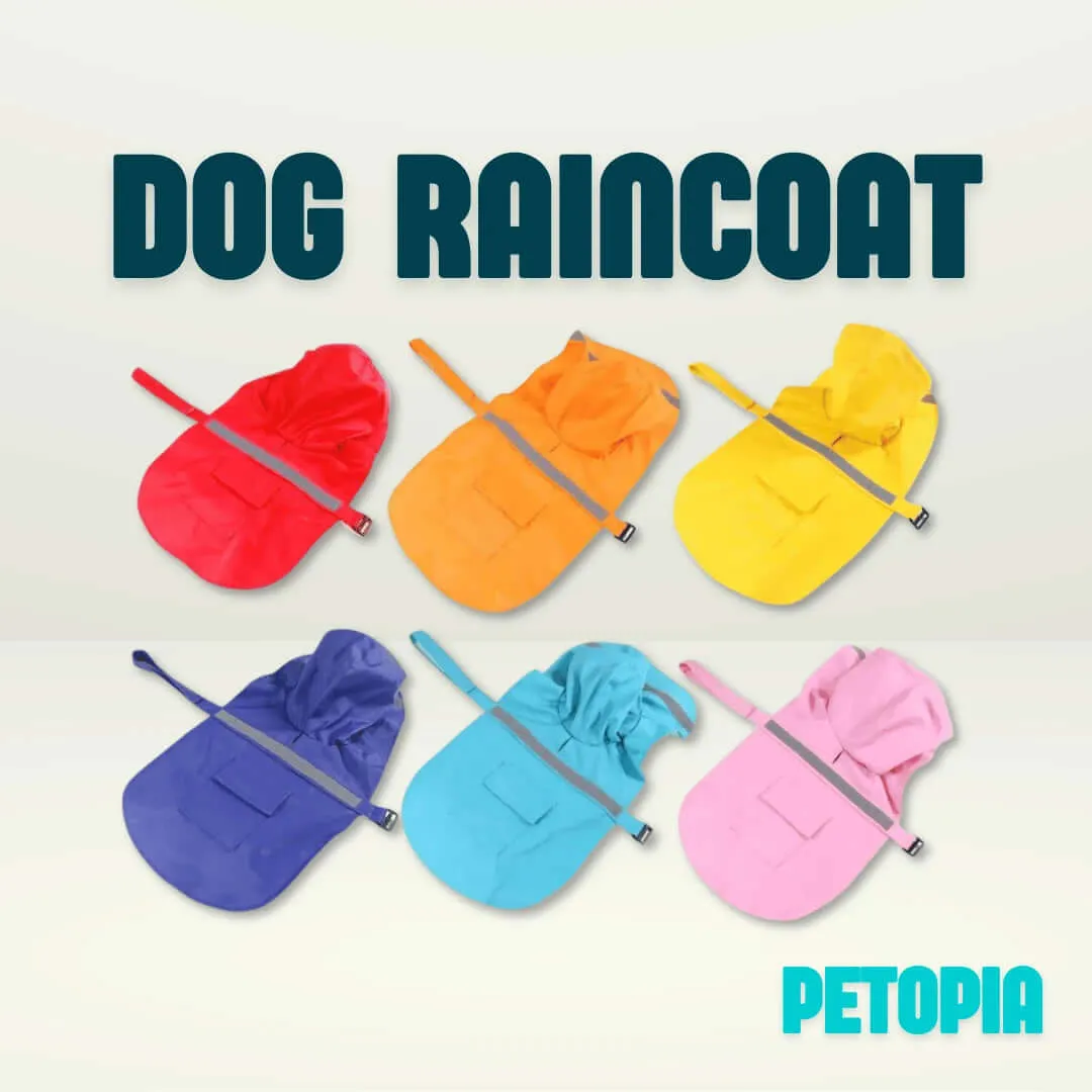 Dog Raincoat