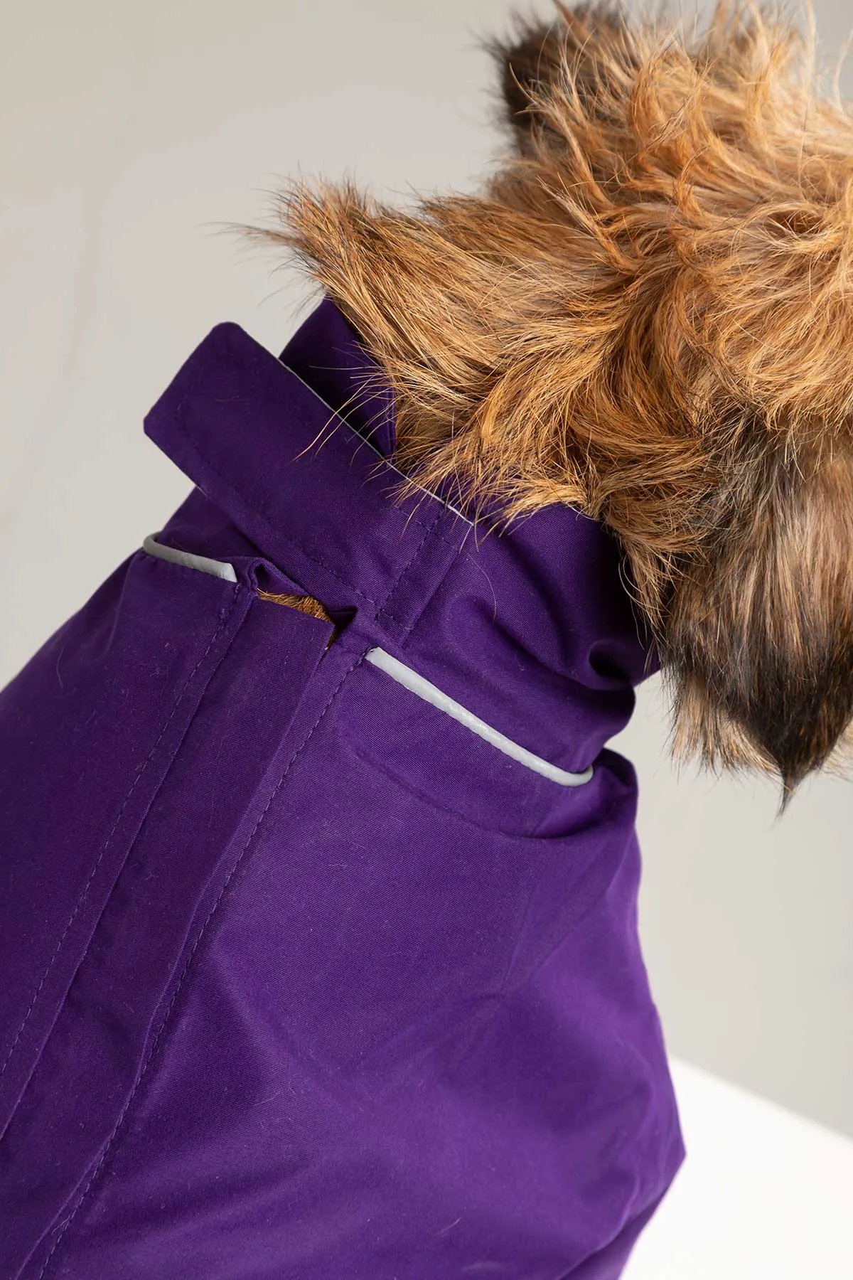 Dog Raincoats - Yapham