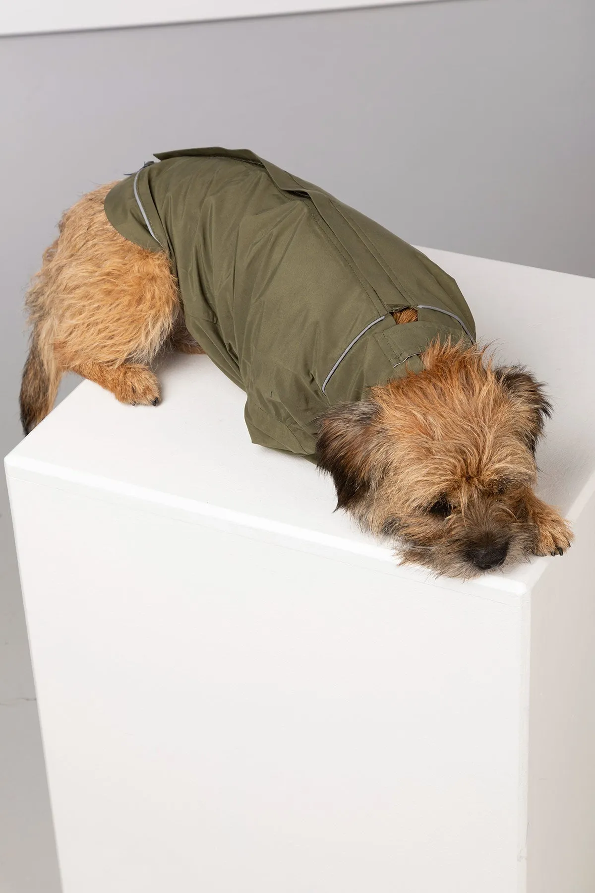 Dog Raincoats - Yapham