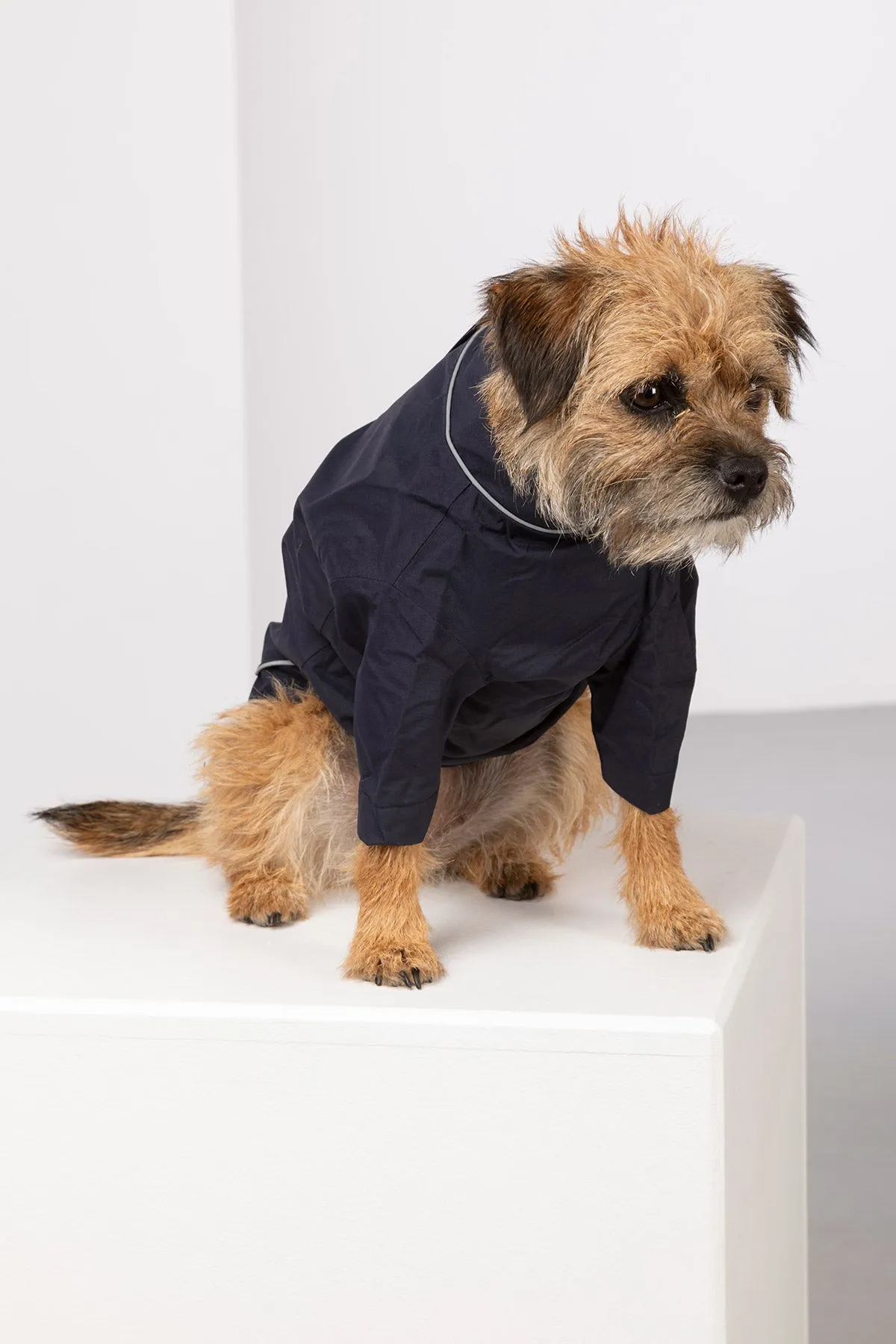 Dog Raincoats - Yapham