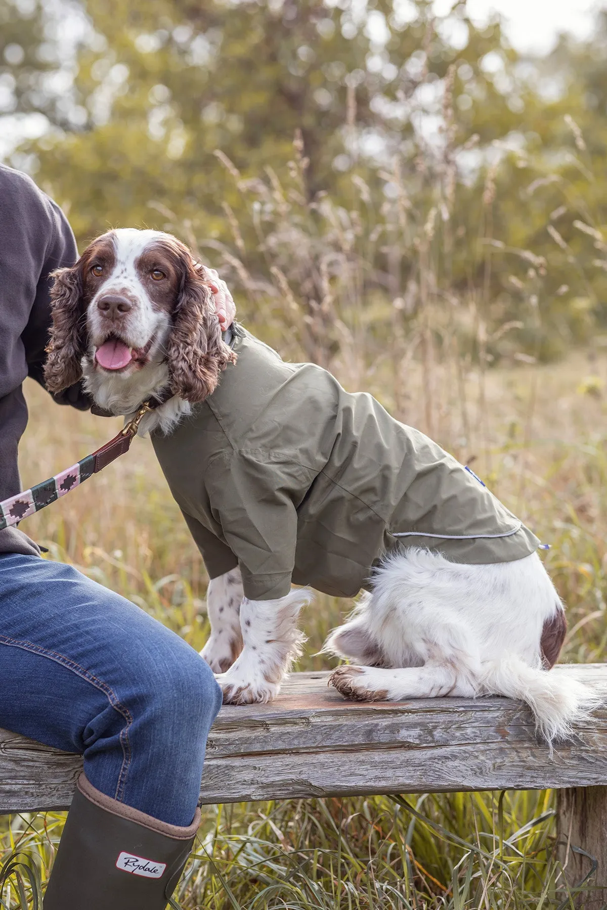 Dog Raincoats - Yapham