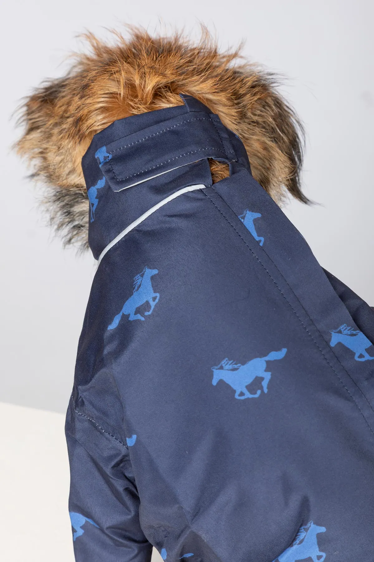 Dog Raincoats - Yapham