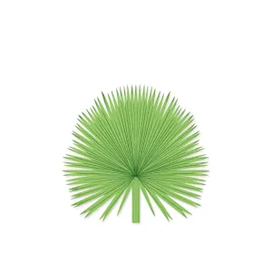 Fan Palm Wood Shape