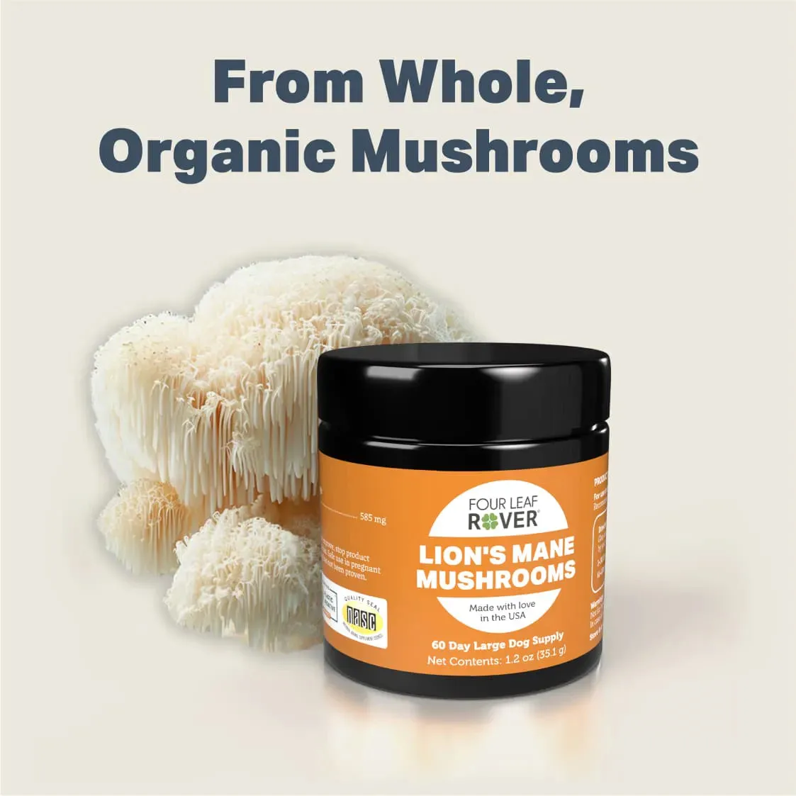 Four Leaf Rover Lion's Mane Mushrooms 1.2oz