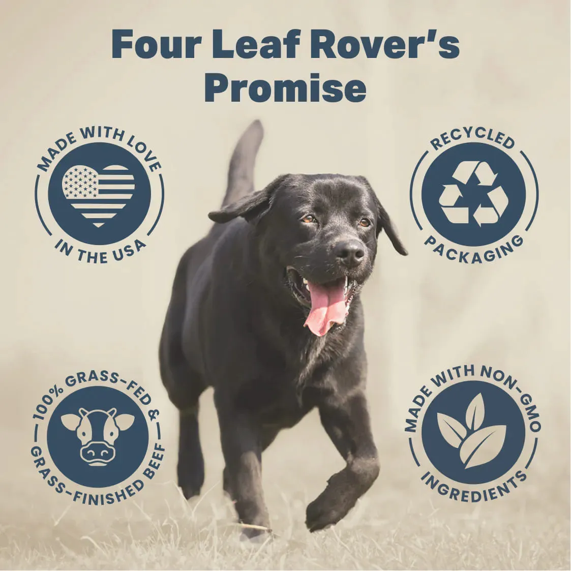 Four Leaf Rover Lion's Mane Mushrooms Supplements for Dogs