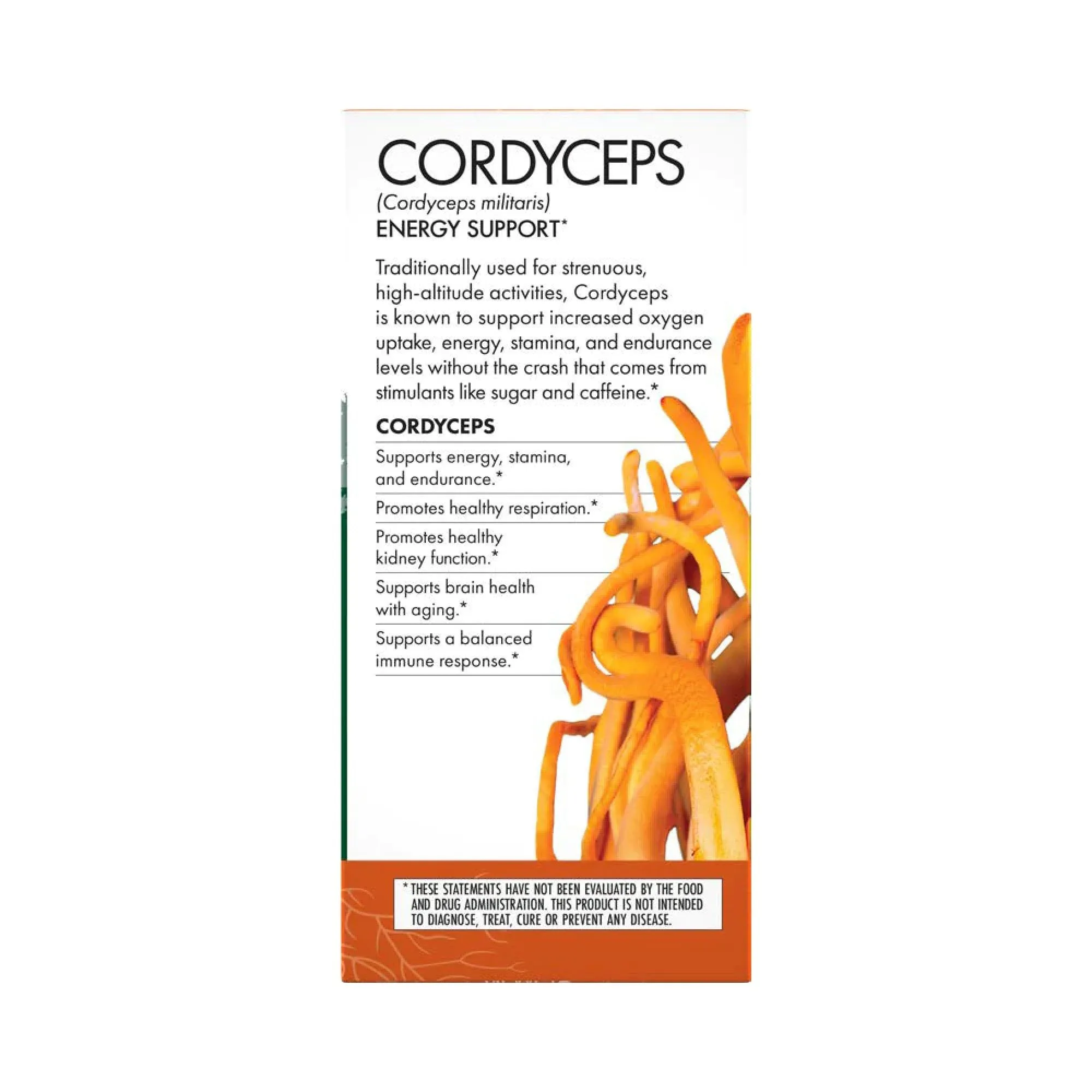 Fungi Perfecti/Host Defense Cordyceps 60 Capsule