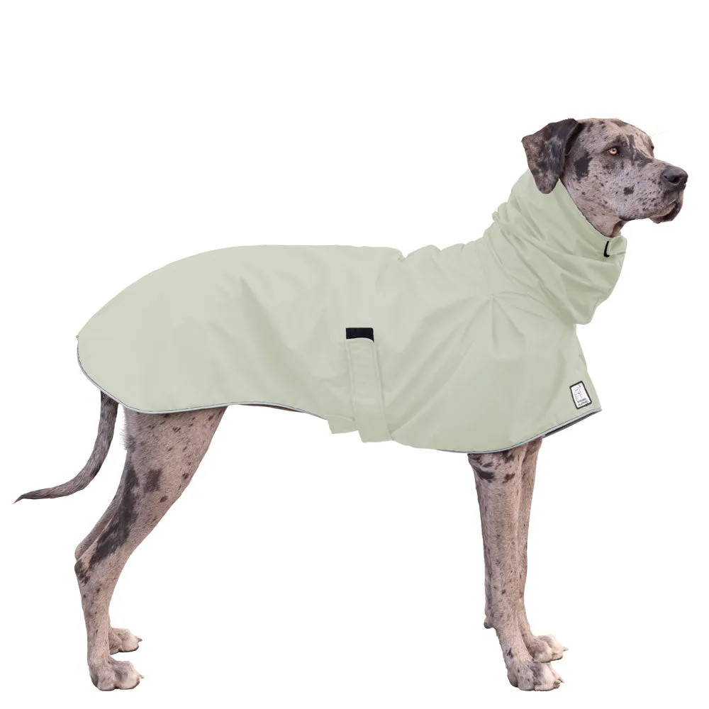 Great Dane Raincoat