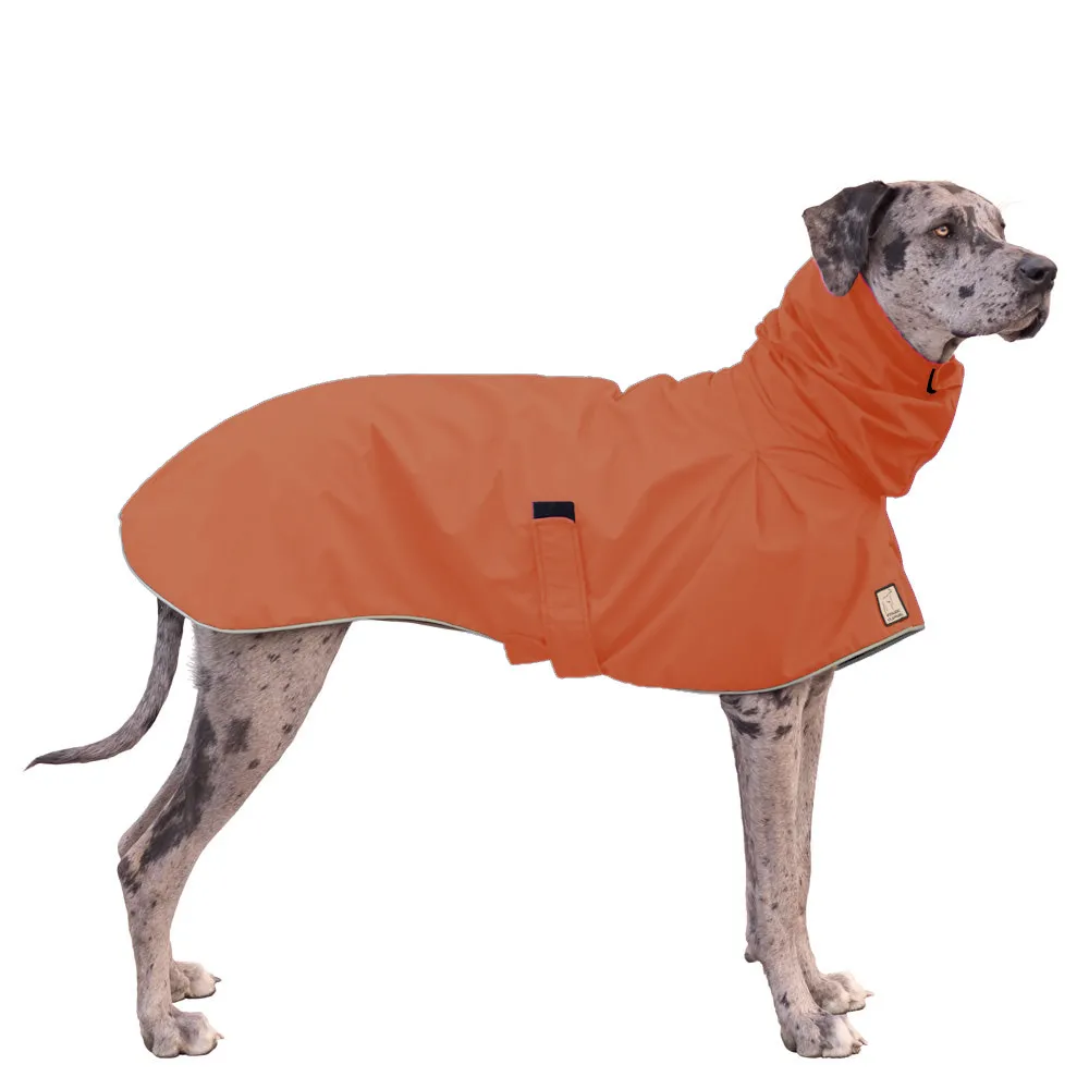 Great Dane Raincoat