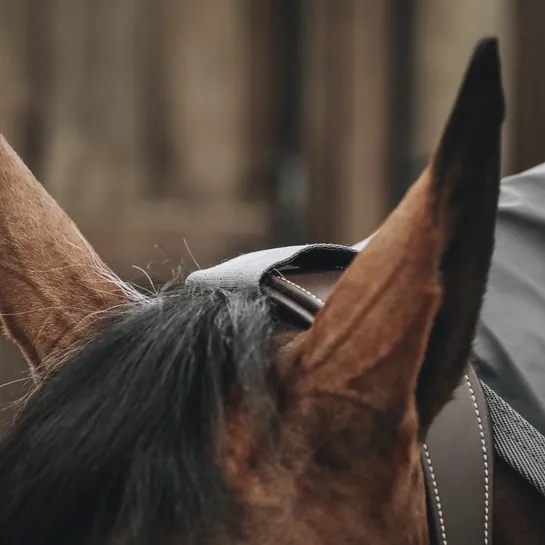 Horse Raincoat Hurricane