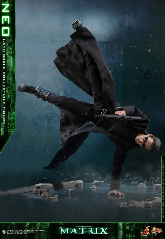 Hot Toys - MMS466 - The Matrix - Neo Collectible Figure