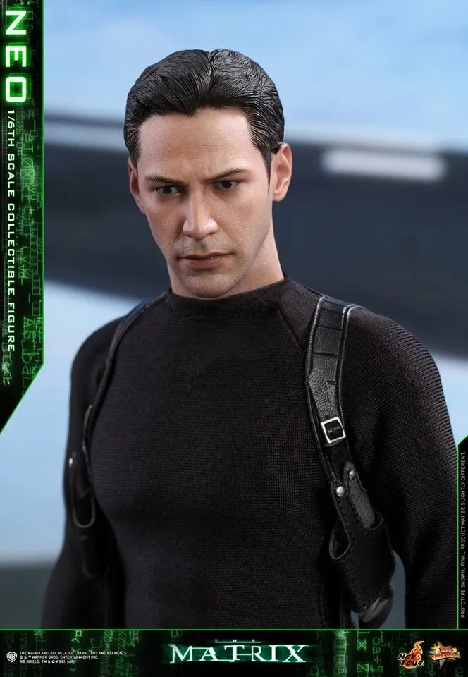 Hot Toys - MMS466 - The Matrix - Neo Collectible Figure