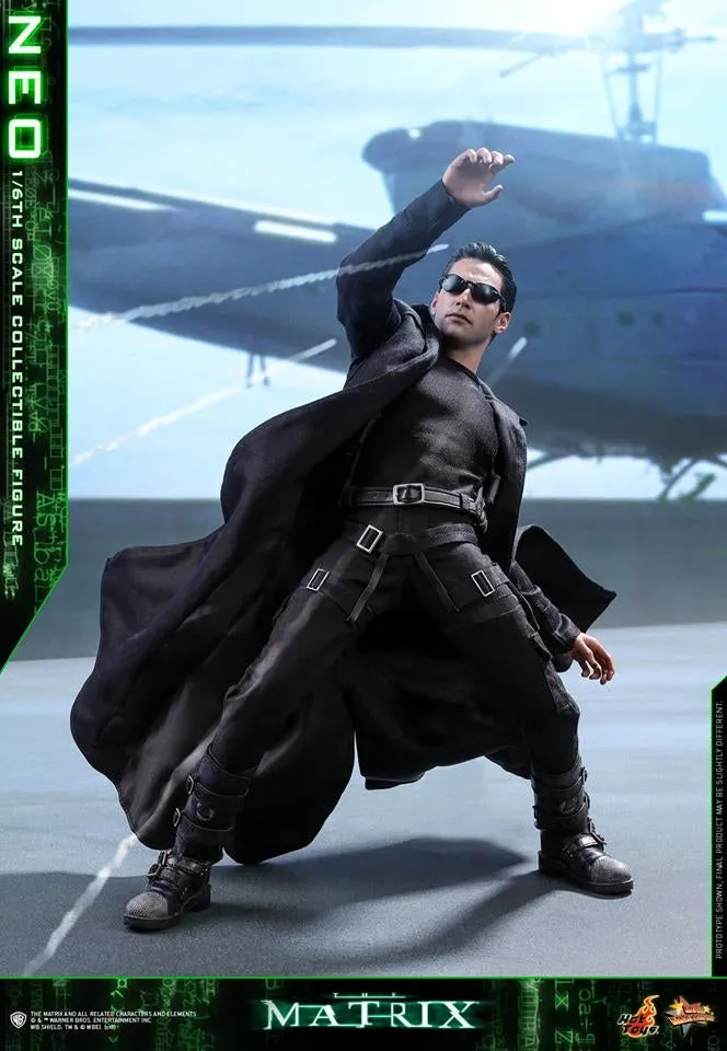 Hot Toys - MMS466 - The Matrix - Neo Collectible Figure