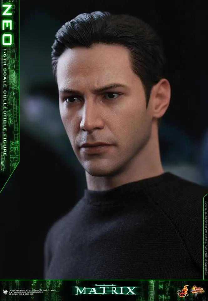 Hot Toys - MMS466 - The Matrix - Neo Collectible Figure