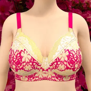 Layer Cake Stretch Lace Bra Kit