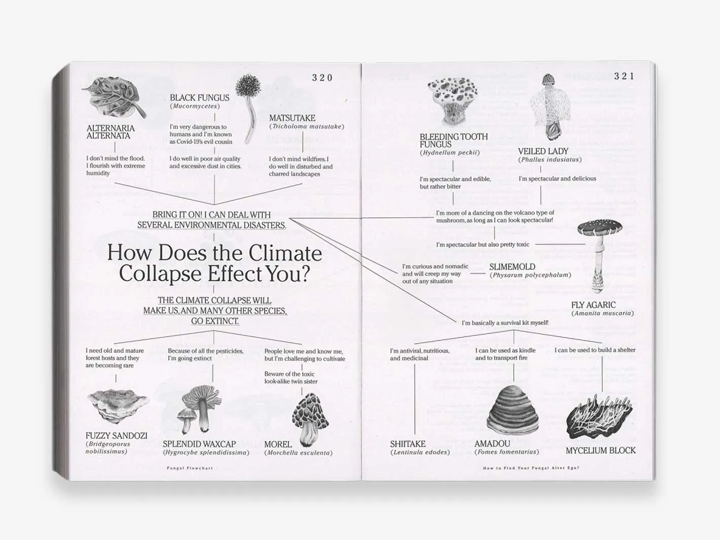 Let's Become Fungal!