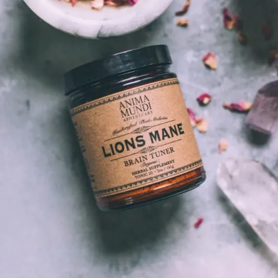 Lion's Mane _ Brain Super Tonic