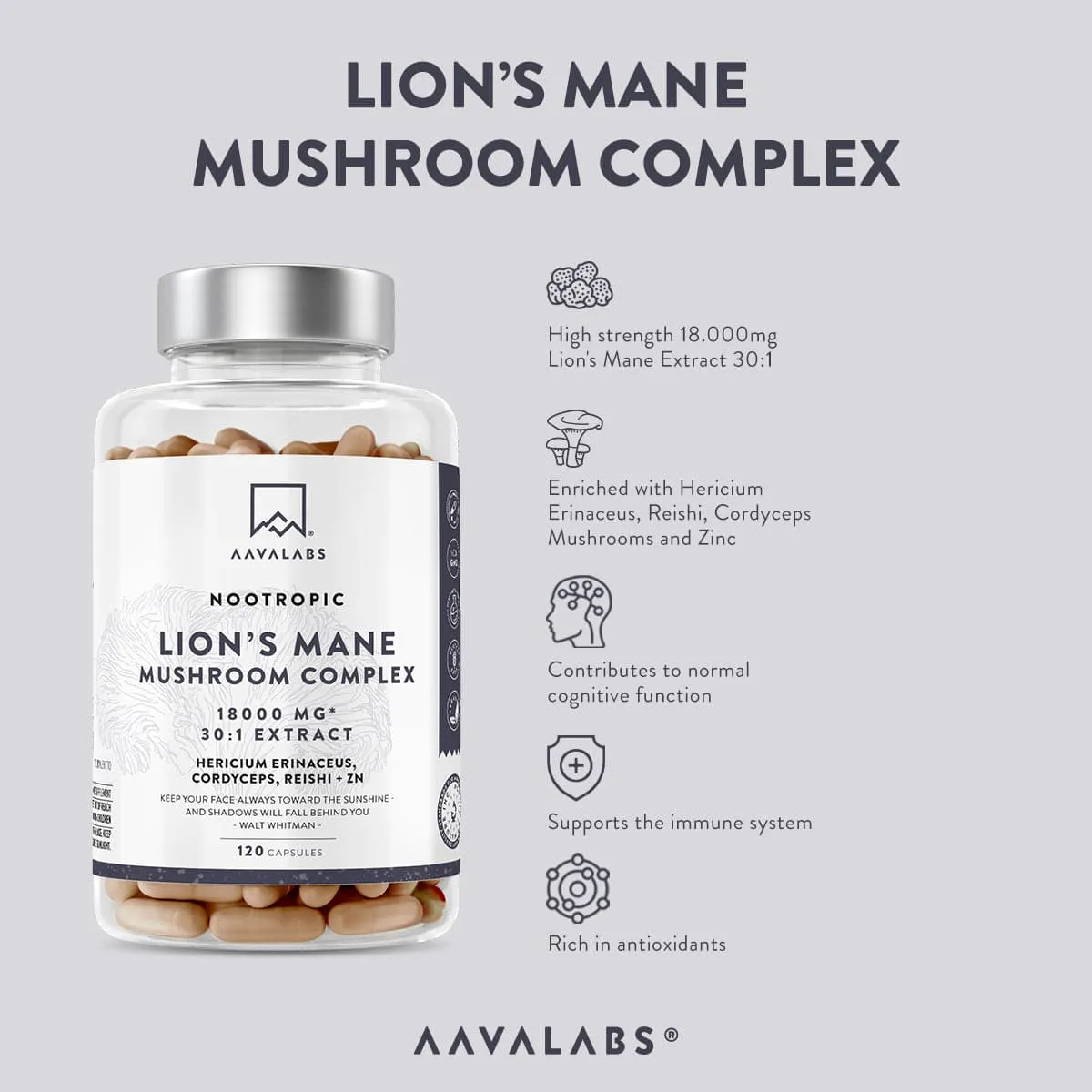 LION´S MANE MUSHROOM COMPLEX