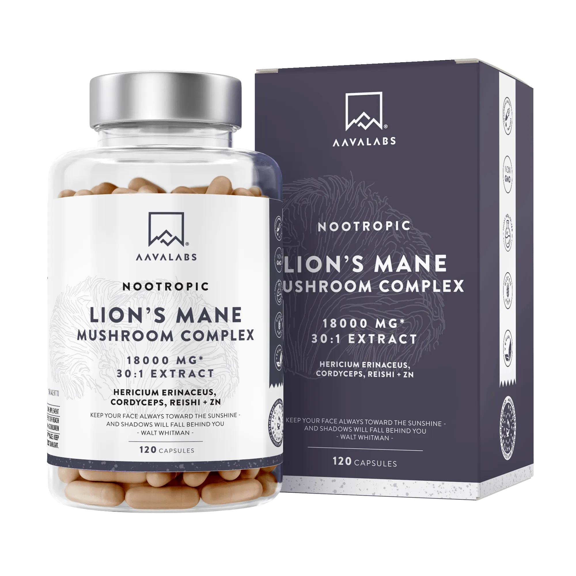 LION´S MANE MUSHROOM COMPLEX