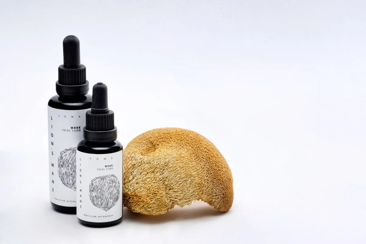 Lion's Mane Mushroom Tincture (Hericium Erinaceus Extract), 30 ml