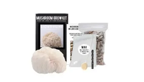 Log Growing Kit - Lion's Mane