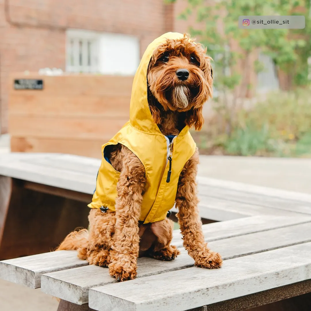 Lucy&Co Reversible Raincoat for Dogs, Shark Attack