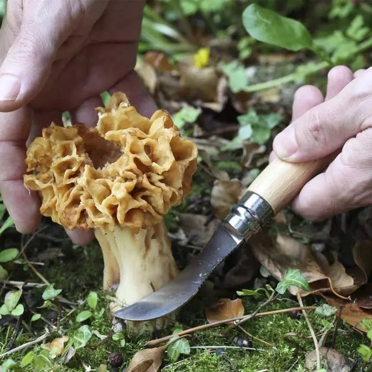 Opinel mushroom knife