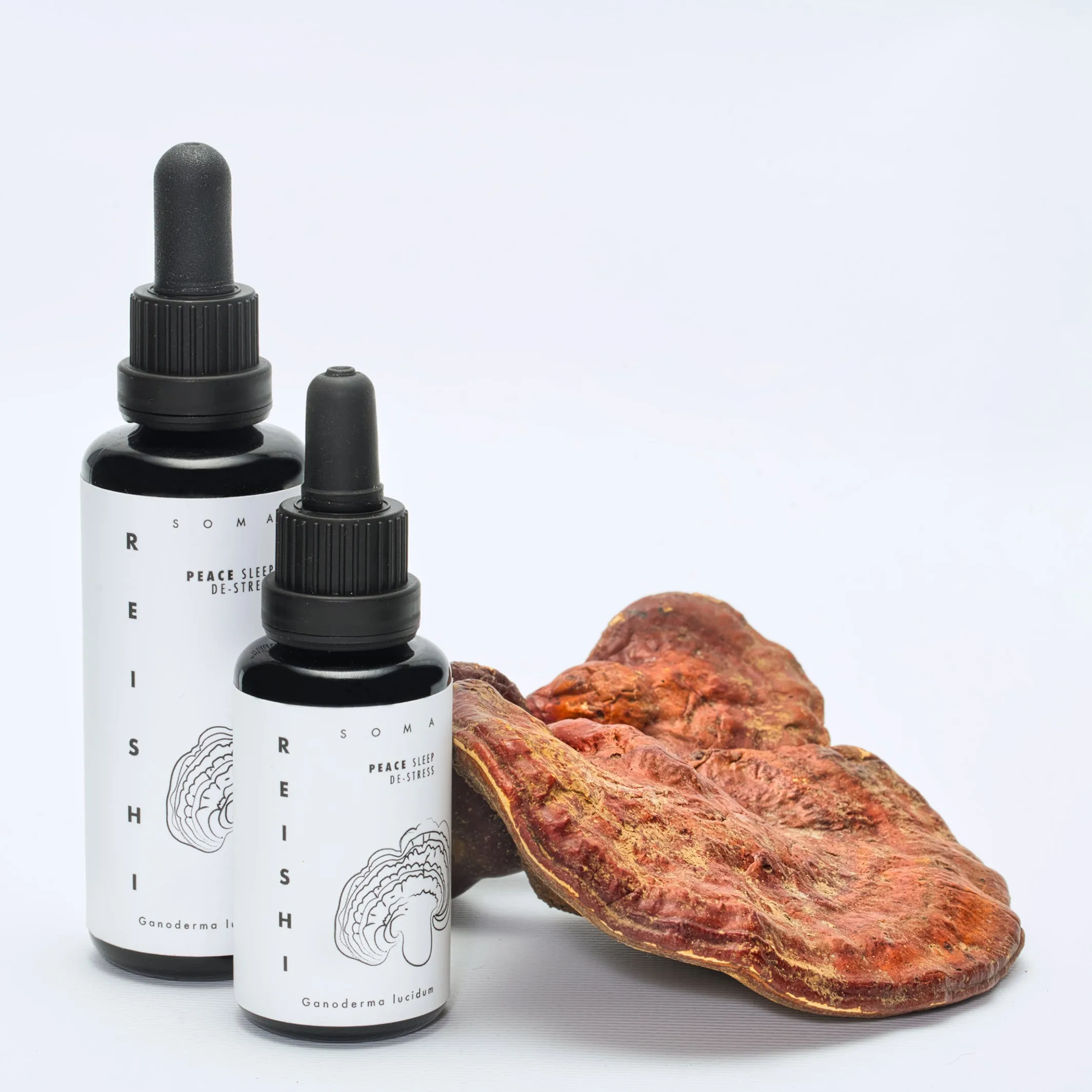 Reishi Mushroom Tincture (Ganoderma Lucidum Extract), 30 ml