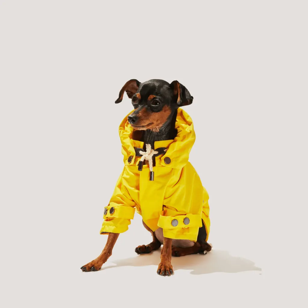 Talon Dog Raincoat