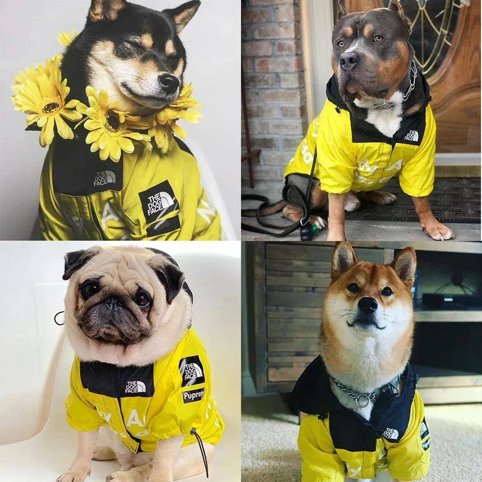 “The Dog Face” Pupreme Windbreaker Raincoat