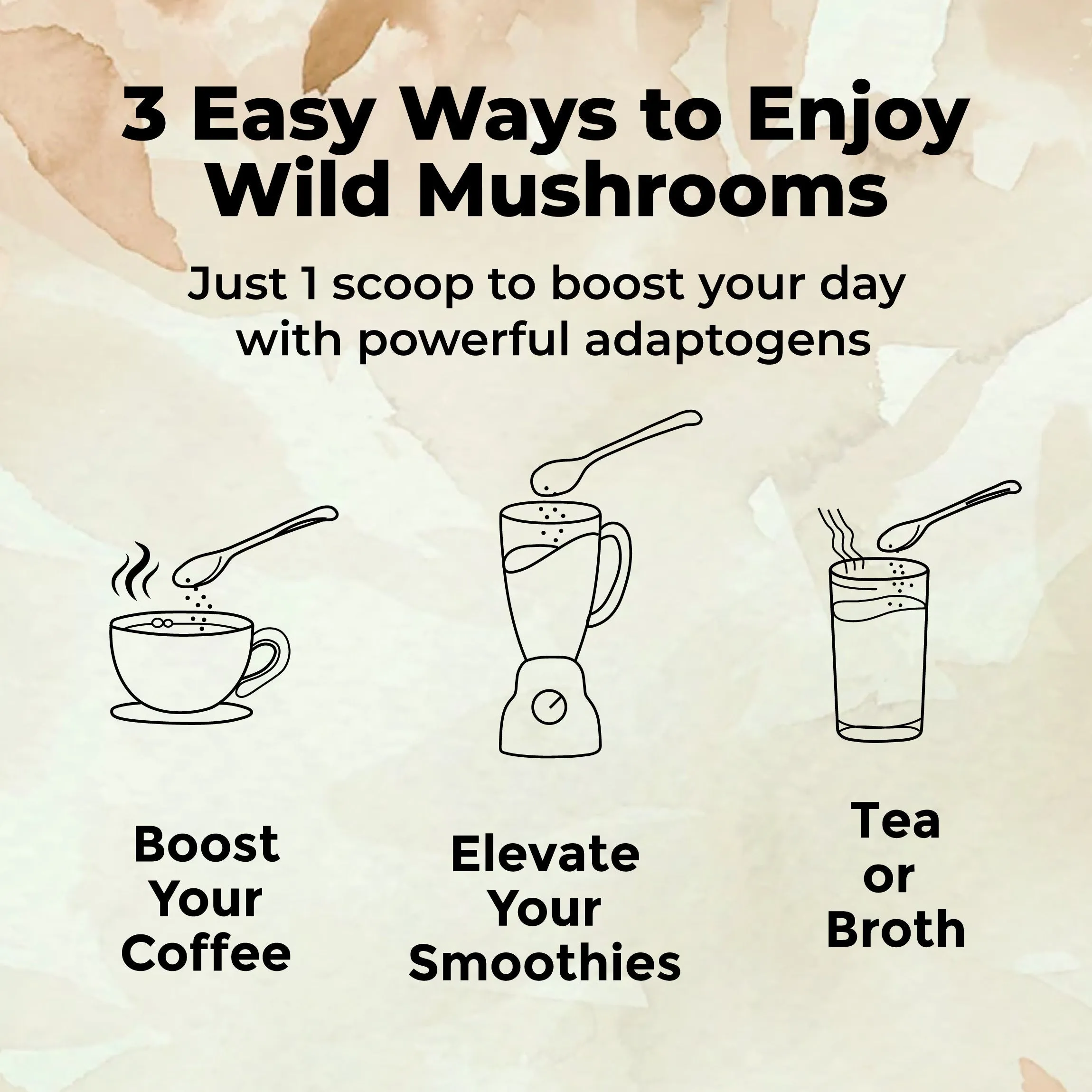 Wholesale - Master Shrooms Five Mushrooms Blend - Adaptogens   Prebiotic Powerhouse