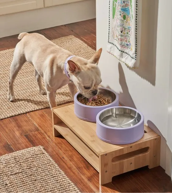 Wild One Nonslip Stainless Steel Dog Bowl (Lilac)